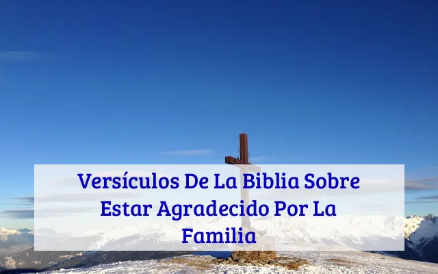 Versículos De La Biblia Sobre Estar Agradecido Por La Familia