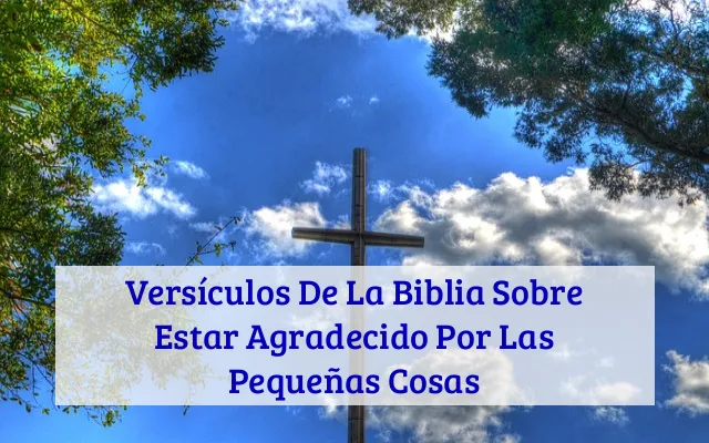 Versículos De La Biblia Sobre Estar Agradecido Por Las Pequeñas Cosas