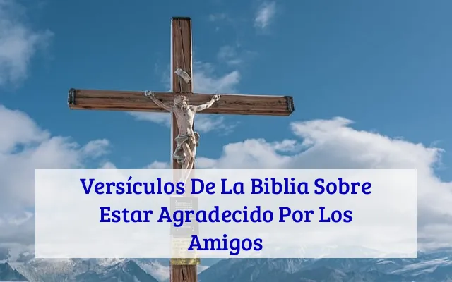 Versículos De La Biblia Sobre Estar Agradecido Por Los Amigos