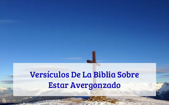 Versículos De La Biblia Sobre Estar Avergonzado
