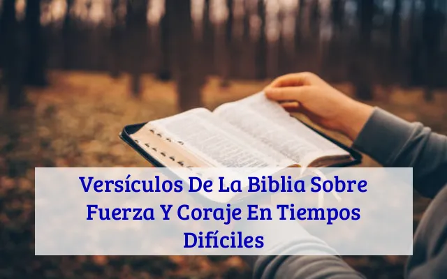 Versículos De La Biblia Sobre Fuerza Y Coraje En Tiempos Difíciles