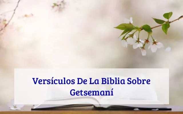 Versículos De La Biblia Sobre Getsemaní