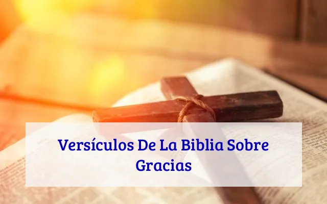 Versículos De La Biblia Sobre Gracias