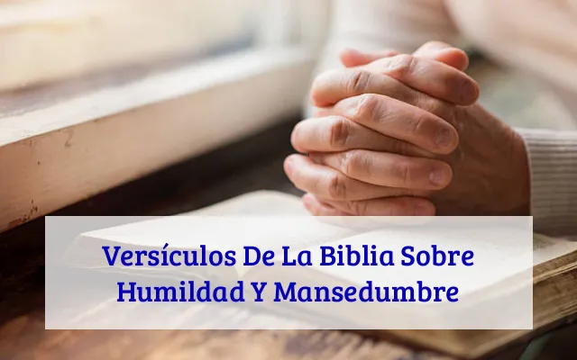 Versículos De La Biblia Sobre Humildad Y Mansedumbre
