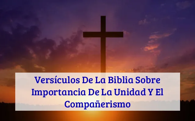 Versículos De La Biblia Sobre Importancia De La Unidad Y El Compañerismo