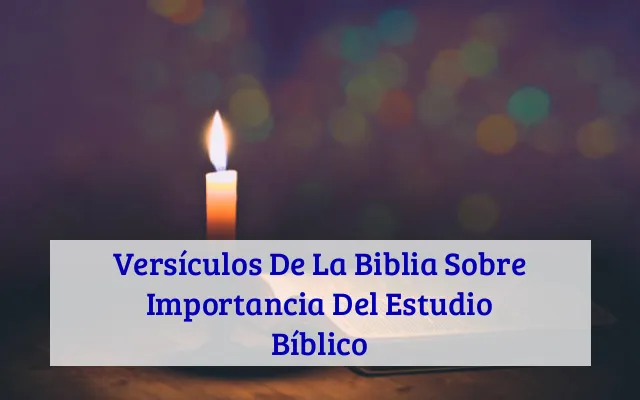 Versículos De La Biblia Sobre Importancia Del Estudio Bíblico
