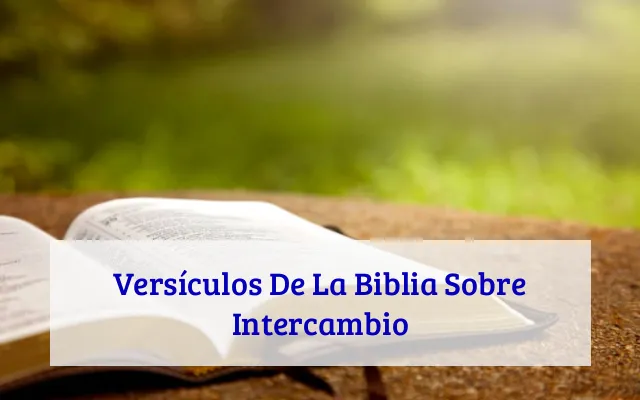 Versículos De La Biblia Sobre Intercambio
