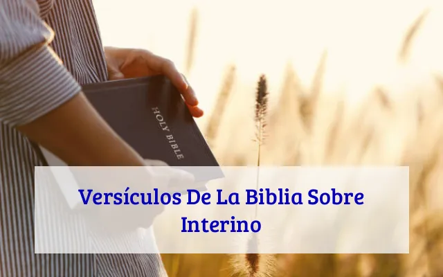 Versículos De La Biblia Sobre Interino