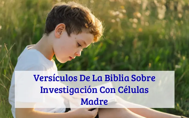 Versículos De La Biblia Sobre Investigación Con Células Madre
