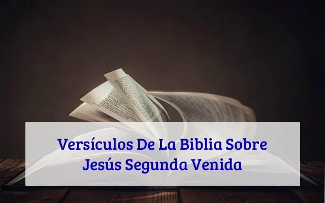 Versículos De La Biblia Sobre Jesús Segunda Venida
