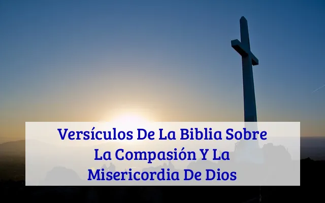 Versículos De La Biblia Sobre La Compasión Y La Misericordia De Dios