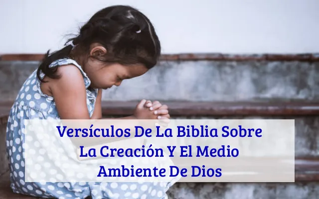 Versículos De La Biblia Sobre La Creación Y El Medio Ambiente De Dios