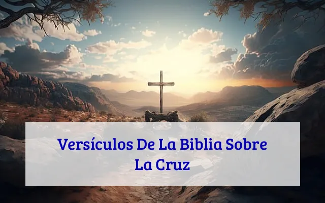 Versículos De La Biblia Sobre La Cruz
