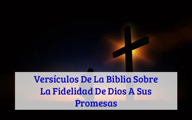Versículos De La Biblia Sobre La Fidelidad De Dios A Sus Promesas