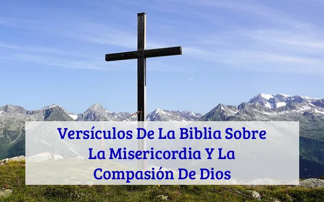 Versículos De La Biblia Sobre La Misericordia Y La Compasión De Dios