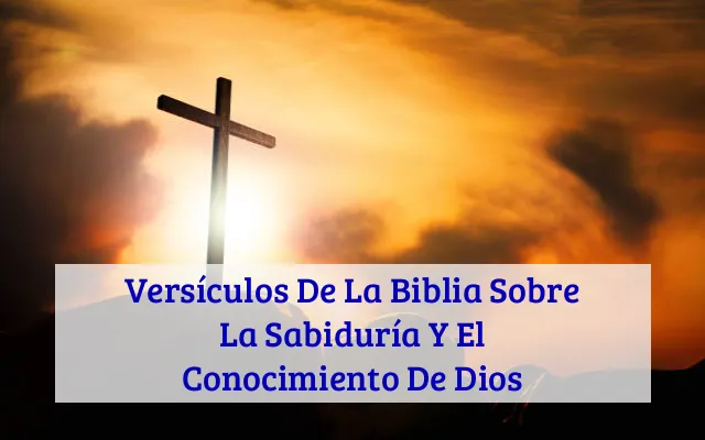 Versículos De La Biblia Sobre La Sabiduría Y El Conocimiento De Dios