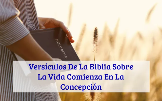 Versículos De La Biblia Sobre La Vida Comienza En La Concepción