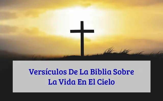 Versículos De La Biblia Sobre La Vida En El Cielo