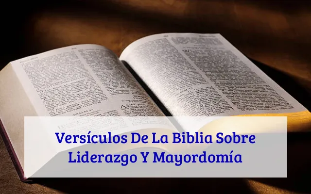 Versículos De La Biblia Sobre Liderazgo Y Mayordomía