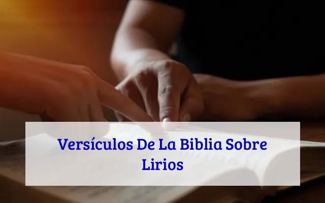 Versículos De La Biblia Sobre Lirios