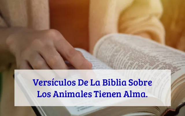 Versículos De La Biblia Sobre Los Animales Tienen Alma.