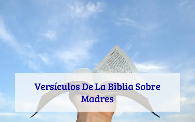 Versículos De La Biblia Sobre Madres