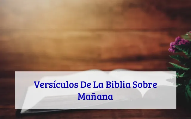 Versículos De La Biblia Sobre Mañana