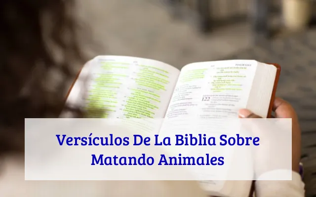 Versículos De La Biblia Sobre Matando Animales