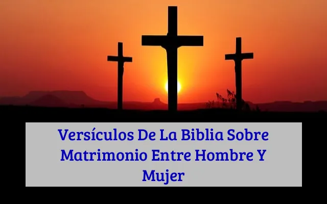 Versículos De La Biblia Sobre Matrimonio Entre Hombre Y Mujer