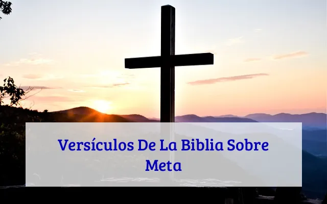 Versículos De La Biblia Sobre Meta