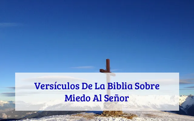 Versículos De La Biblia Sobre Miedo Al Señor