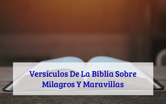 Versículos De La Biblia Sobre Milagros Y Maravillas