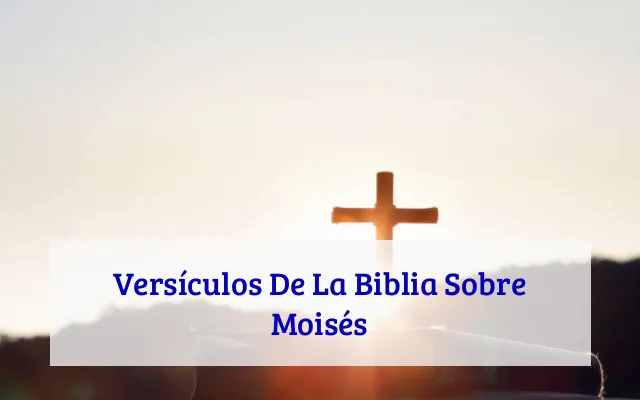 Versículos De La Biblia Sobre Moisés