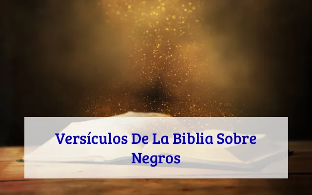 Versículos De La Biblia Sobre Negros