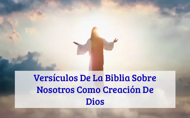 Versículos De La Biblia Sobre Nosotros Como Creación De Dios