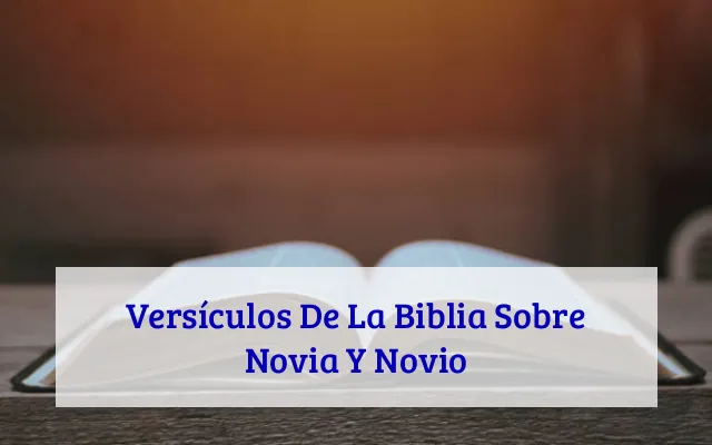 Versículos De La Biblia Sobre Novia Y Novio
