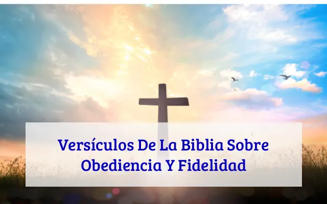 Versículos De La Biblia Sobre Obediencia Y Fidelidad