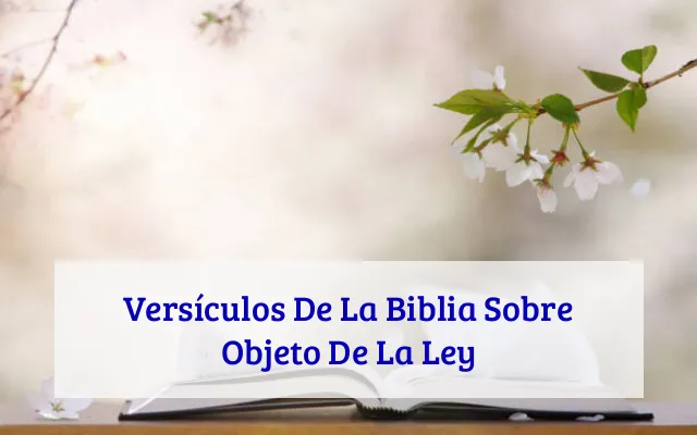 Versículos De La Biblia Sobre Objeto De La Ley