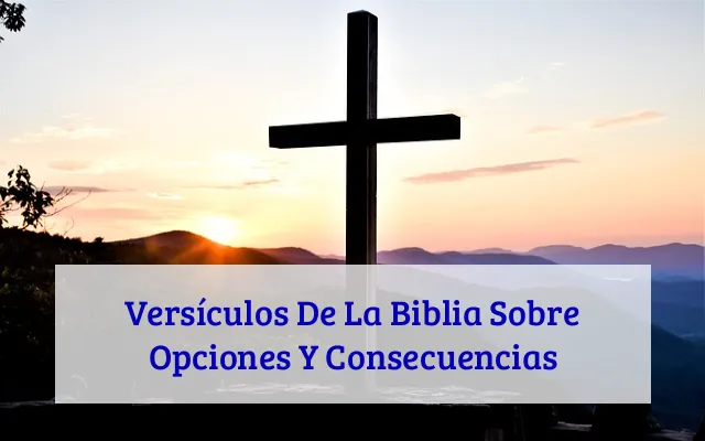 Versículos De La Biblia Sobre Opciones Y Consecuencias