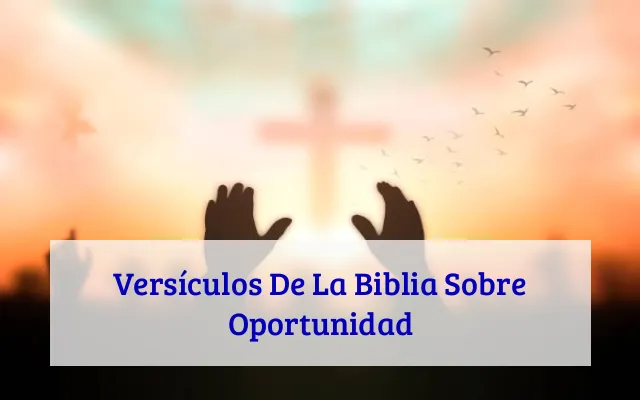 Versículos De La Biblia Sobre Oportunidad