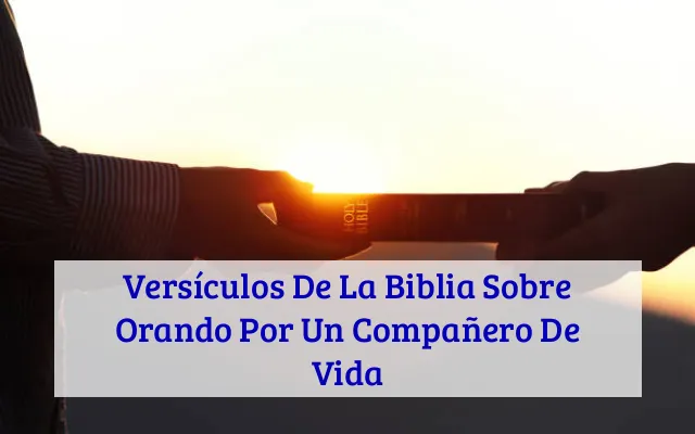 Versículos De La Biblia Sobre Orando Por Un Compañero De Vida