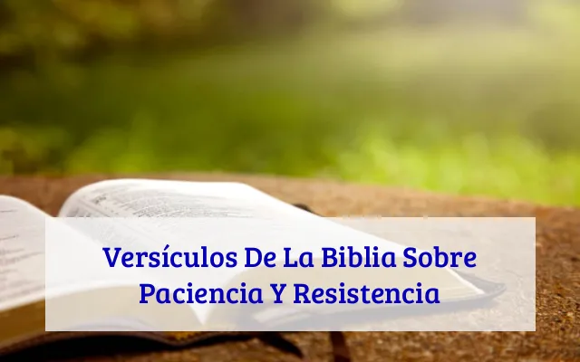 Versículos De La Biblia Sobre Paciencia Y Resistencia