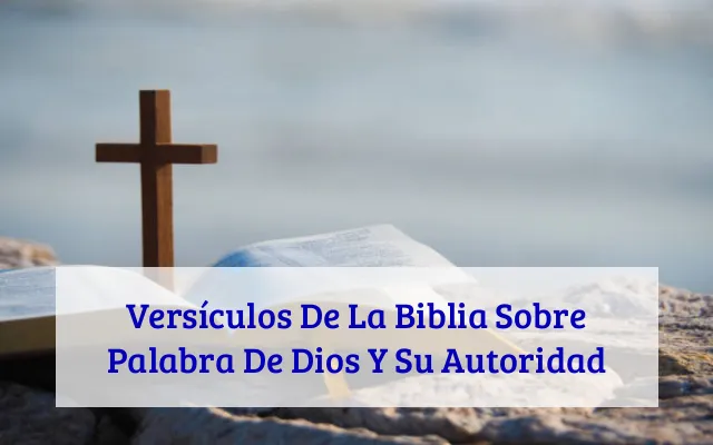 Versículos De La Biblia Sobre Palabra De Dios Y Su Autoridad