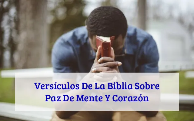 Versículos De La Biblia Sobre Paz De Mente Y Corazón