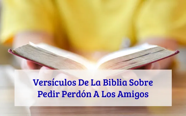 Versículos De La Biblia Sobre Pedir Perdón A Los Amigos