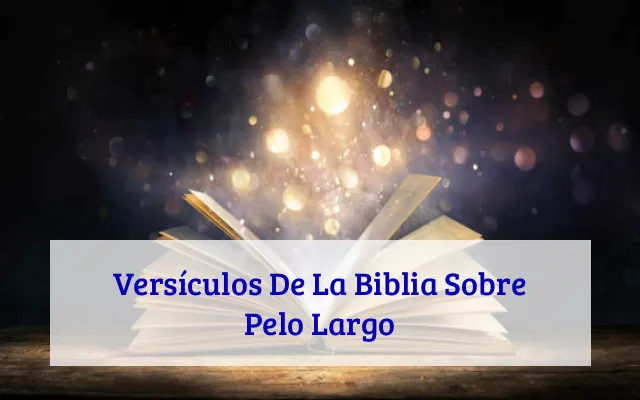 Versículos De La Biblia Sobre Pelo Largo