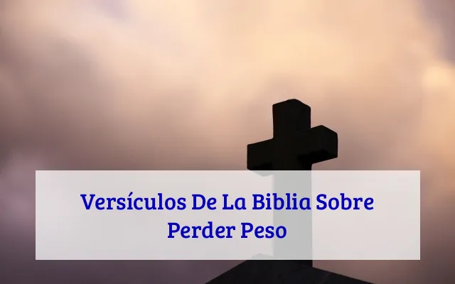 Versículos De La Biblia Sobre Perder Peso