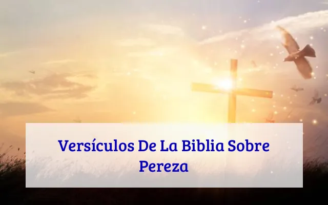 Versículos De La Biblia Sobre Pereza