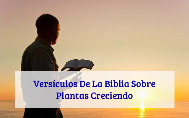 Versículos De La Biblia Sobre Plantas Creciendo