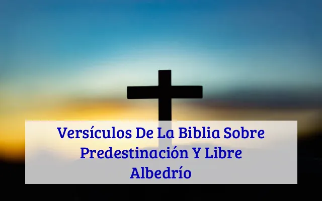 Versículos De La Biblia Sobre Predestinación Y Libre Albedrío